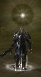 LEVEL INCREASE FROM LEVEL 1 TO 110 PER LEVEL